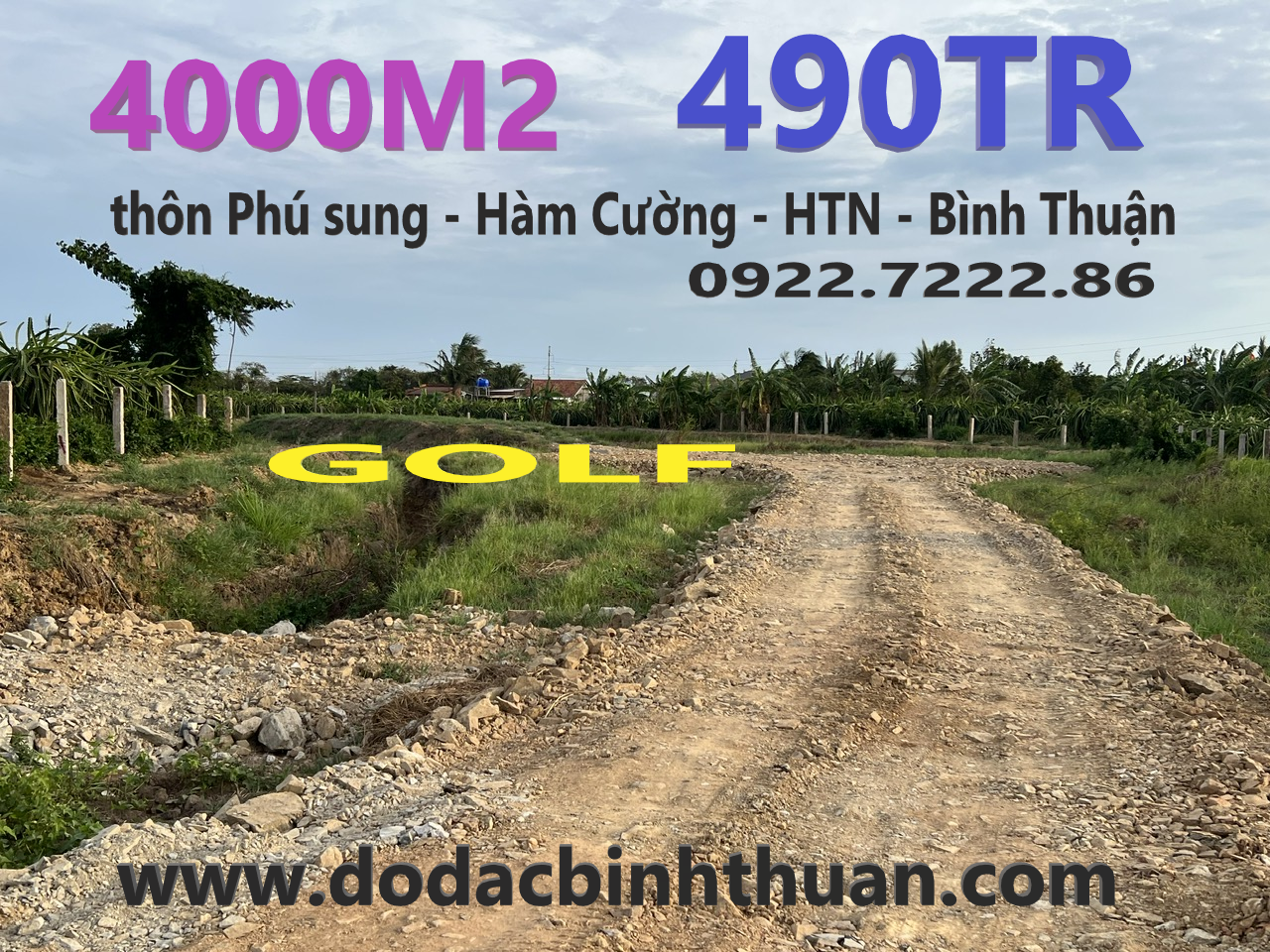 Bất động sản